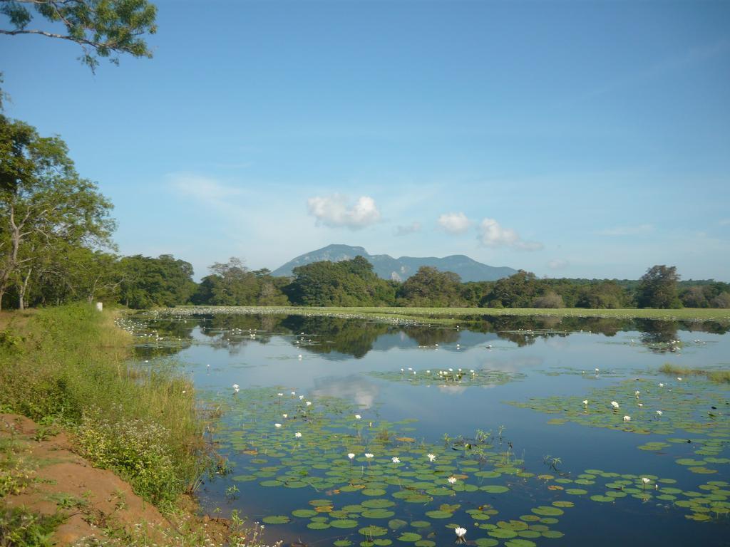 Sunrise Holiday Resort Хабарана Экстерьер фото